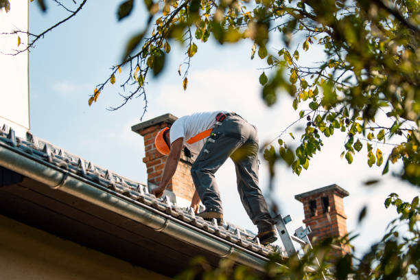Best Roof Gutter Cleaning  in Greenfield, MO